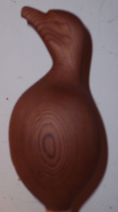 smooth-side-eagle-small